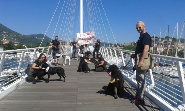 Il canile va in cittàIl canile va in città, edizione 2017, volontari e cani sul ponte Revel.